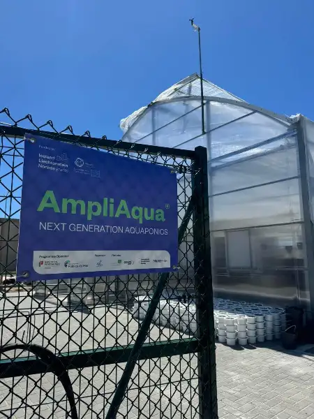 AmpliAqua — resultado final