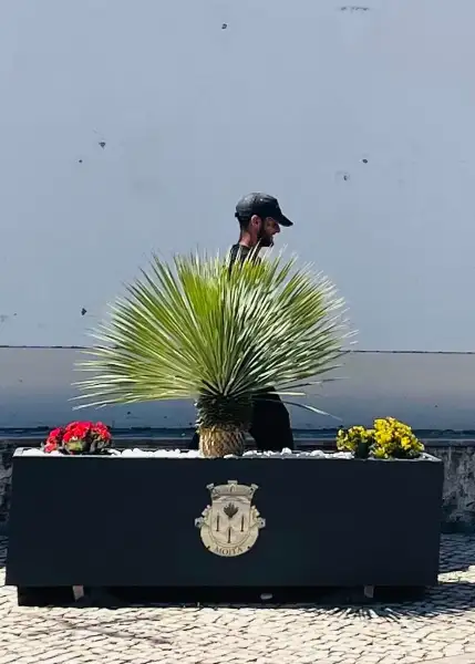 Junta de Freguesia da Moita — resultado final
