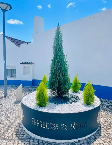 Junta de Freguesia da Moita — resultado final