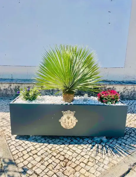 Junta de Freguesia da Moita — resultado final