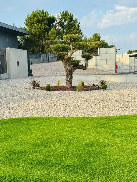Natureza Verde — resultado final