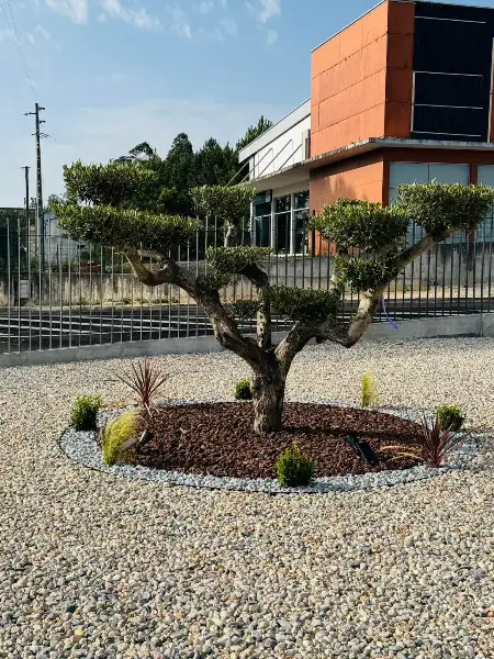 Natureza Verde — resultado final